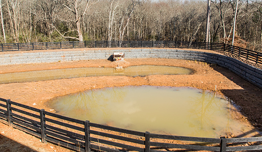Stormwater Retention Ponds